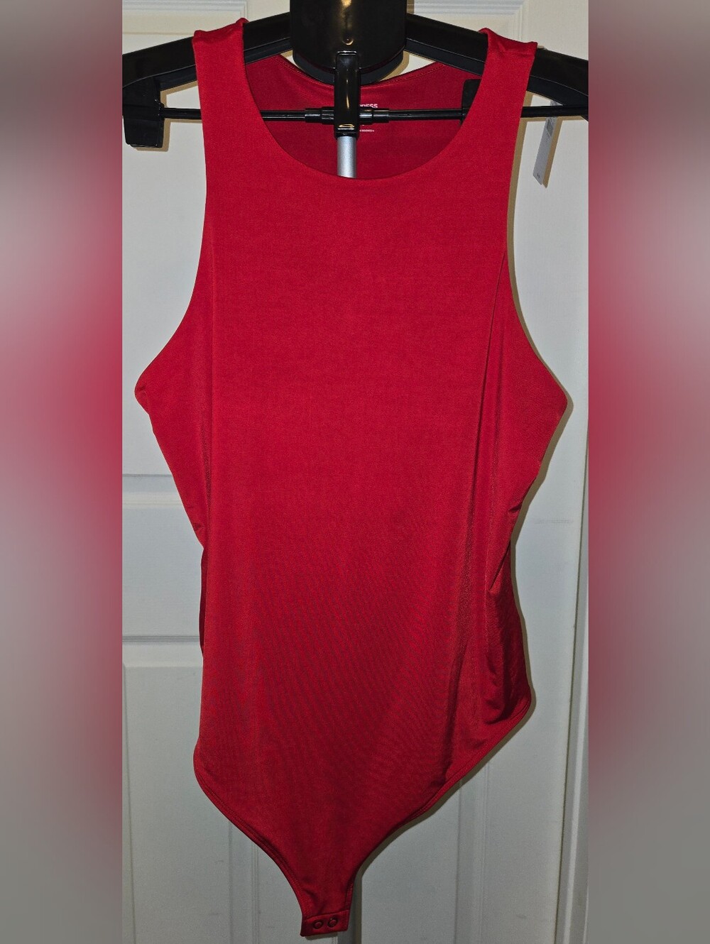 Express Red Sleeveless Scoop Neck Bodysuit